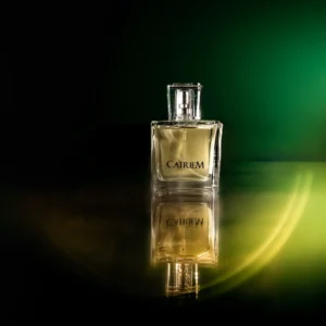 Perfume nicho Sortie 100ml